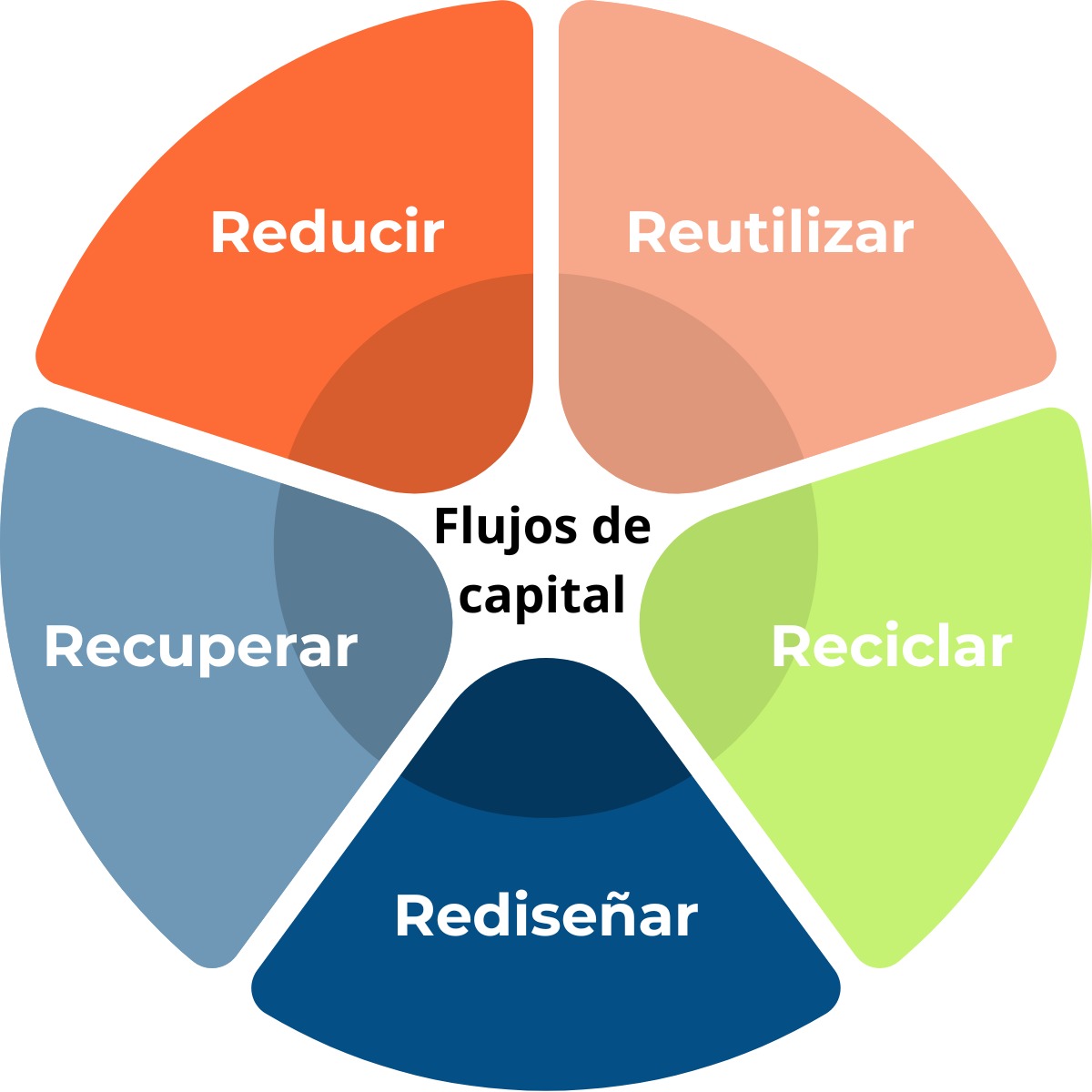 WhatsApp Image 2026-04-29 at 12.08.32 PM